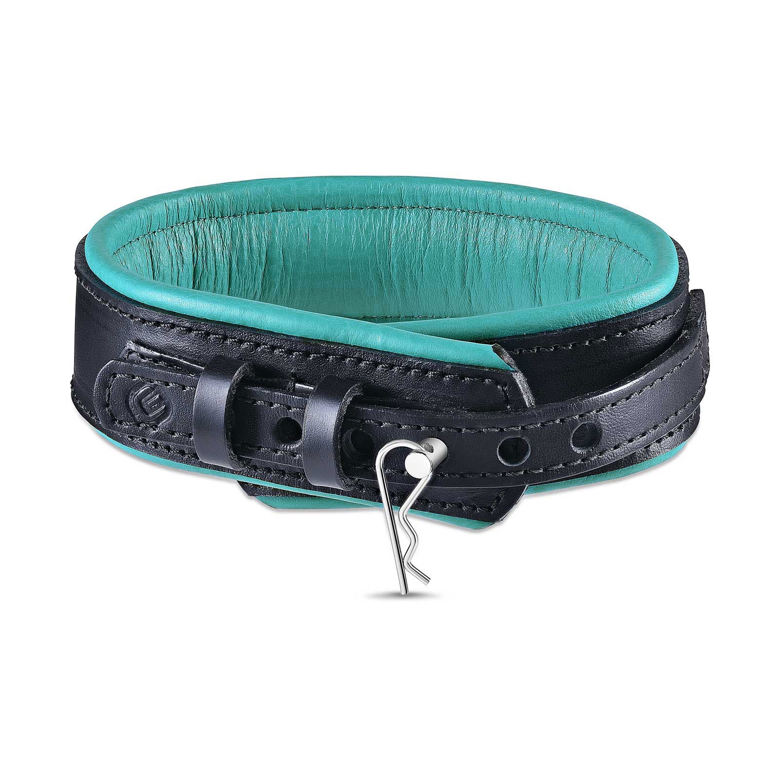 Teal leather clearance collar